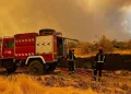 İspanya’daki orman yangınlarında 25 bin hektarlık alan kül oldu