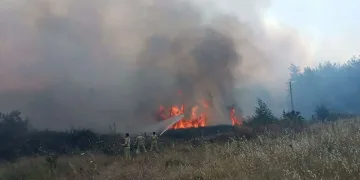 Muğla’da orman yangını