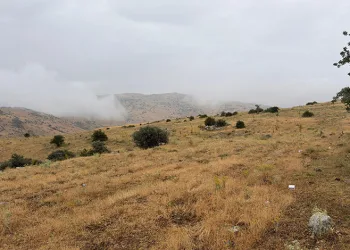 Ankara’da yıldırım can aldı