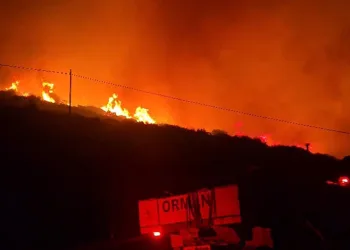 İzmir’de makilik alandaki yangın kontrol altında
