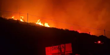 İzmir’de makilik alandaki yangın kontrol altında