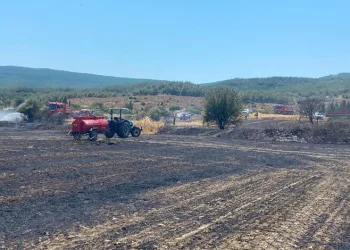 Çanakkale’deki yangında 10 dönüm tarım arazisi zarar gördü