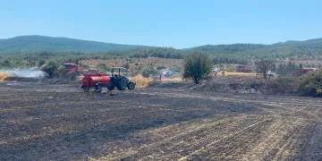 Çanakkale’deki yangında 10 dönüm tarım arazisi zarar gördü