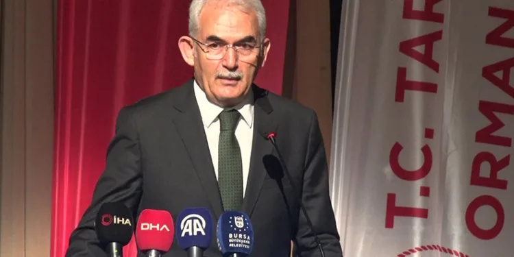 “Yangınların büyük bölümü insan kaynaklı çıkıyor”