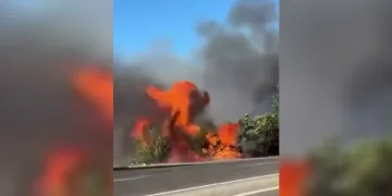 Anız yangını ağaçlara sıçramadan söndürüldü