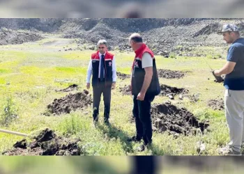 Palandöken’de 2 bin 500 rakımda yeşil kalkan