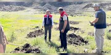 Palandöken’de 2 bin 500 rakımda yeşil kalkan