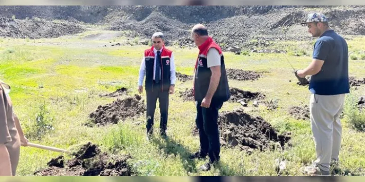 Palandöken’de 2 bin 500 rakımda yeşil kalkan