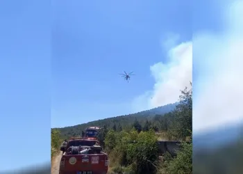 Balıkesir’de bir orman yangını daha