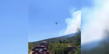 Balıkesir’de bir orman yangını daha