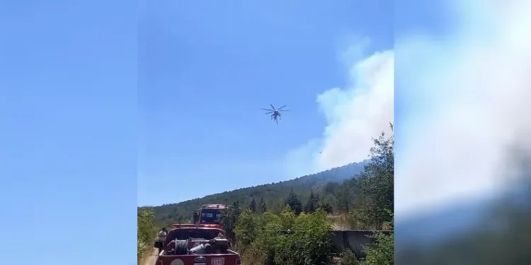 Balıkesir’de bir orman yangını daha