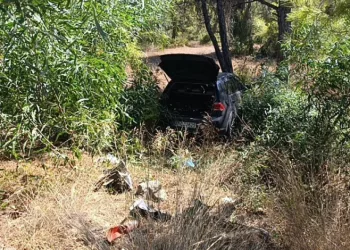 Önündeki otomobile çarptı, ardından ormana daldı: 1 yaralı