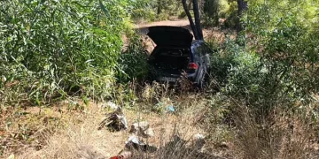 Önündeki otomobile çarptı, ardından ormana daldı: 1 yaralı