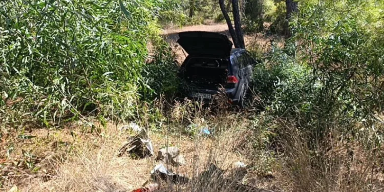 Önündeki otomobile çarptı, ardından ormana daldı: 1 yaralı
