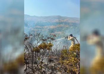 Balıkesir’de bir günde 7 farklı alanda yangın çıktı