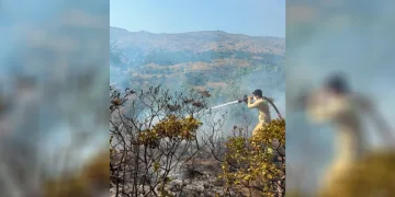 Balıkesir’de bir günde 7 farklı alanda yangın çıktı