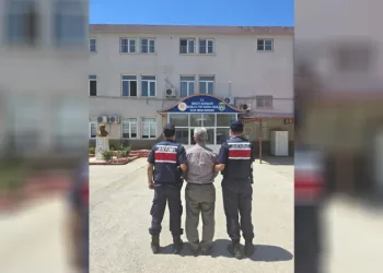 Orman alanını işgal eden hükümlü yakalandı