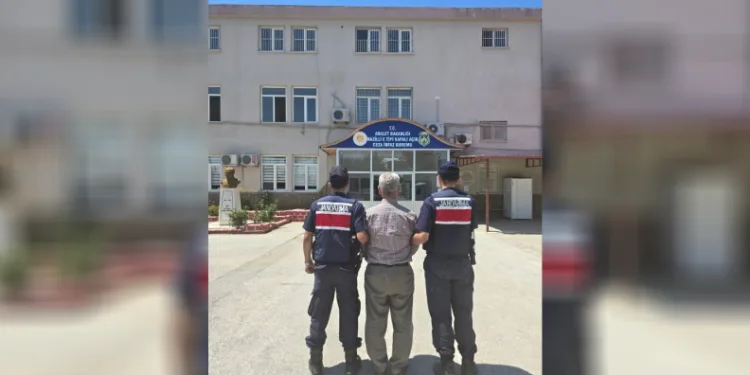 Orman alanını işgal eden hükümlü yakalandı
