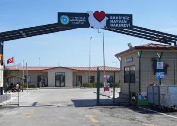 Tekirdağ’da 5 binden fazla sahipsiz hayvana umut oldular