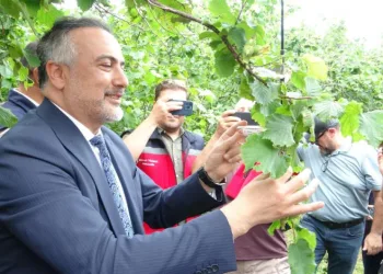 Giresun’da 130 Bin Samuray Arısı Doğaya Salındı