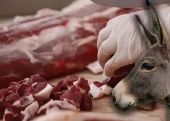 İki ilimizde vatandaşa at ve eşek eti yedirdiler