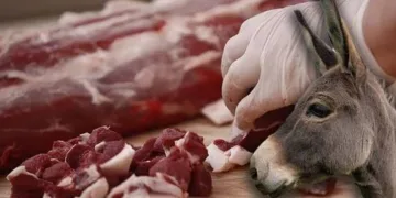 İki ilimizde vatandaşa at ve eşek eti yedirdiler