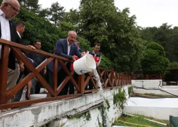 Ayazma Deresi’ne 50 bin kırmızı benekli alabalık yavrusu bırakıldı