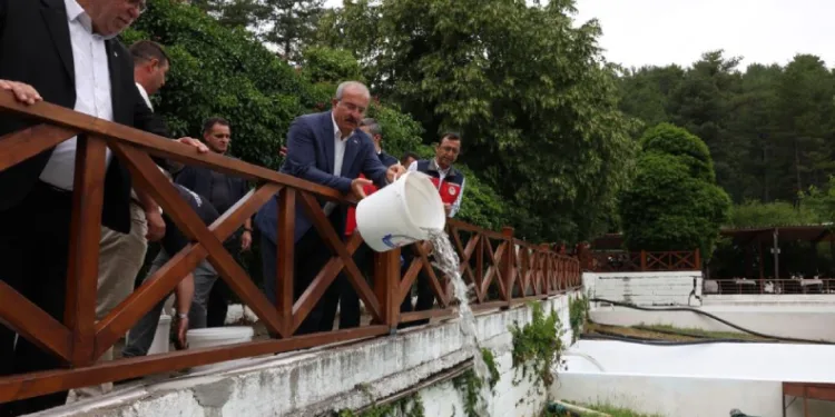 Ayazma Deresi’ne 50 bin kırmızı benekli alabalık yavrusu bırakıldı