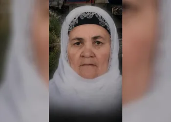 Tatvan’da trenin çarptığı yaşlı kadın hayatını kaybetti