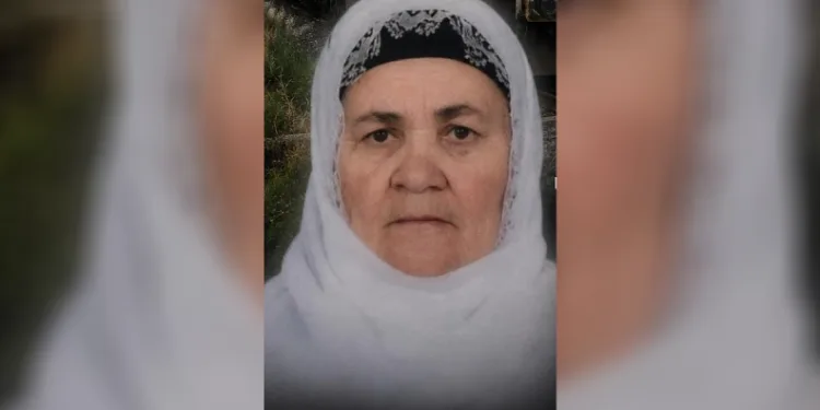 Tatvan’da trenin çarptığı yaşlı kadın hayatını kaybetti