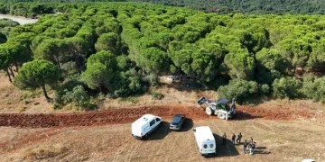 Katilinin düğün fotoğrafını çekti, ormanda vahşice öldürüldü