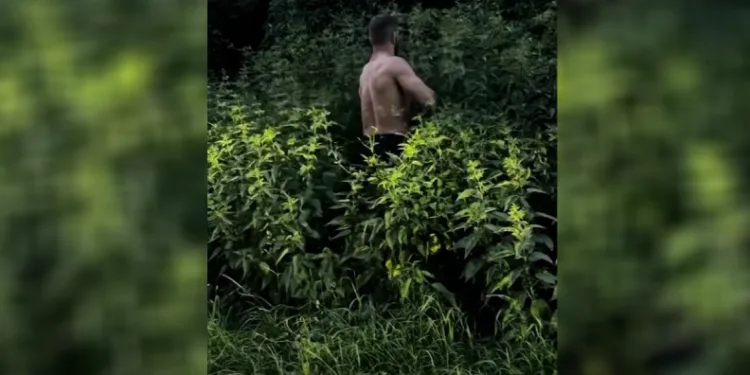 UFC sporcusunun ısırgan sınavı Rize’de akıma dönüştü