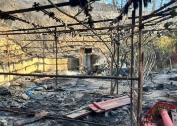 Alanya’da orman yangını muz seralarına sıçradı: 17 hektarlık alan zarar gördü