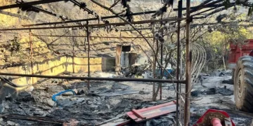 Alanya’da orman yangını muz seralarına sıçradı: 17 hektarlık alan zarar gördü