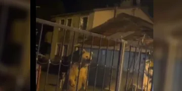 Sarıkamış’ta Ayılar Bahçenin Misafiri Oldu