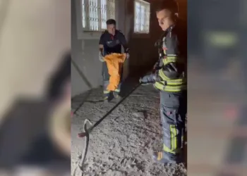 Evde görülen zehirli engerek itfaiye ekiplerince yakalandı