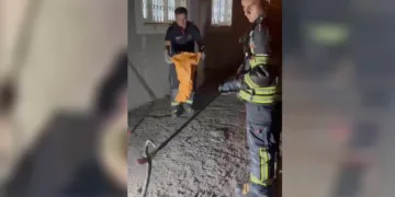 Evde görülen zehirli engerek itfaiye ekiplerince yakalandı