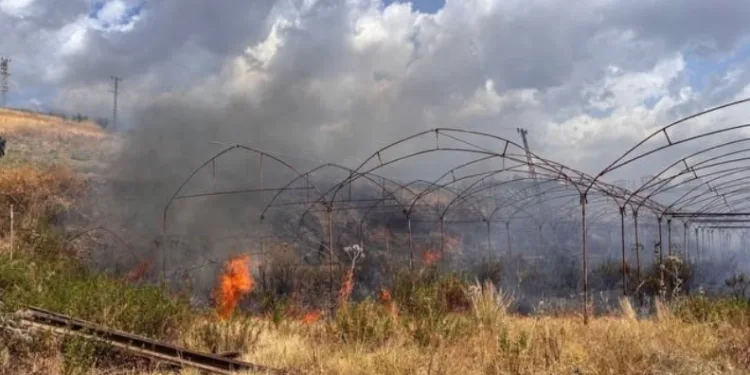 Bahçede başlayan yangında otomobil ve sera kullanılmaz hale geldi
