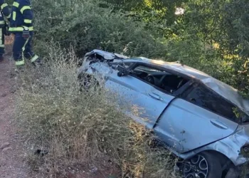Kontrolden çıkarak şarampole devrilen otomobilin sürücü hayatını kaybetti