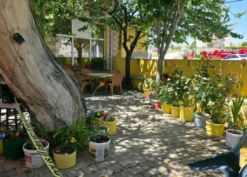 Kayseri’de kıraathanede silahlı kavga: 2 yaralı