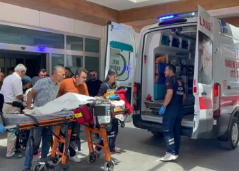 Karaman’da köpek dehşeti: 3 yaşındaki çocuk ağır yaralandı