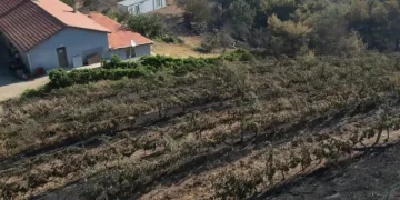 Alevler yılların emeğini kül etti…
