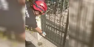 Demir kapıya sıkışan kirpiyi böyle kurtardılar