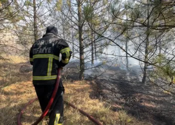 Artan sıcaklıklarda yangınlara karşı hayati uyarı