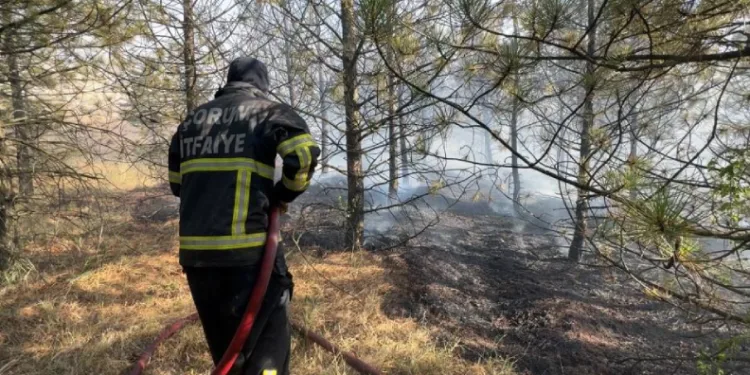 Artan sıcaklıklarda yangınlara karşı hayati uyarı