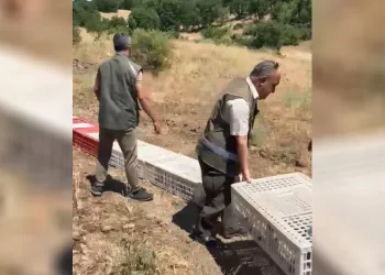 Elazığ’da kenelerle mücadele için doğaya keklik bırakıldı