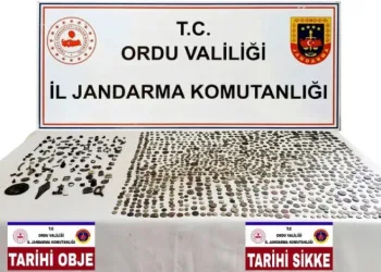 Ordu’da çok sayıda sikke ve tarihi eser objeler ele geçirildi