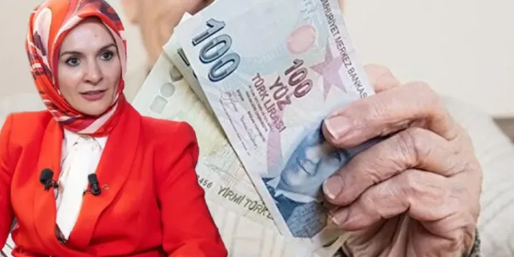 Temmuz ayı SED ödemeleri hesaplara yatırıldı