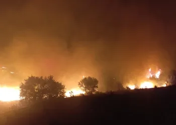 Kula’da makilik alanda yangın: 400 dönüm alan zarar gördü