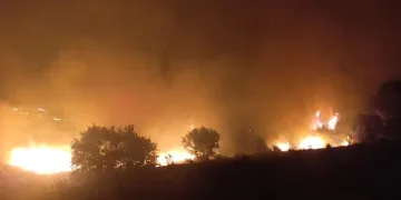 Kula’da makilik alanda yangın: 400 dönüm alan zarar gördü